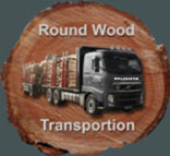 Button Round Wood