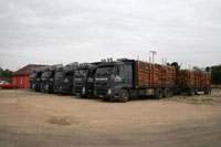 LKW-Flotte, Rundholztransporter. 